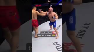 292263988 418039603686877 3679328645932567050 n