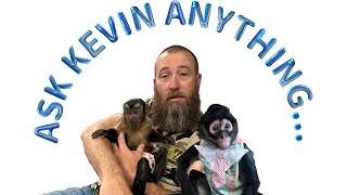 Join us for some questions specifically for Kevin. #monkeys #spidermonkey #animals #pets #family