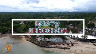 离别的车站 ( Li Bie De Che Zhan ) Female Version - Karaoke mandarin with drone view