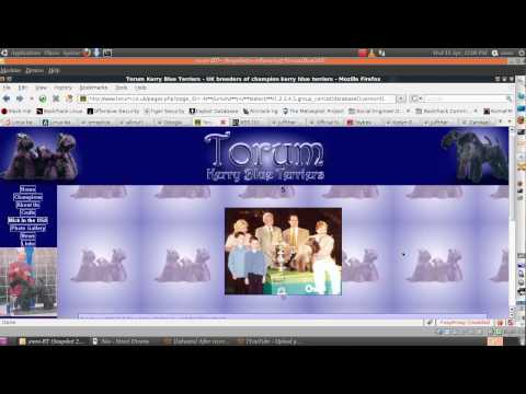 Basic_WAF_Bypass2.avi
