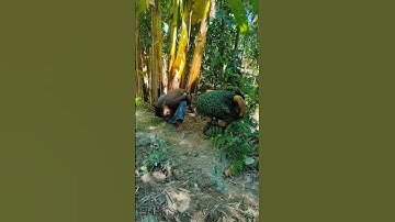 Unlock the Power of Smart Learning with Advanced Gadgets! ✨ Take your journey learning