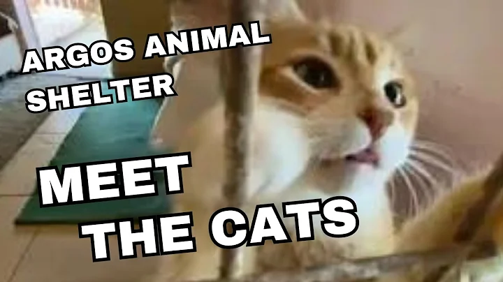 Watch the video about Argos Animal Sanctuary Part 2 - Meet The Cats