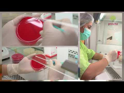 Video: Centrul Medical „Primul Pas”