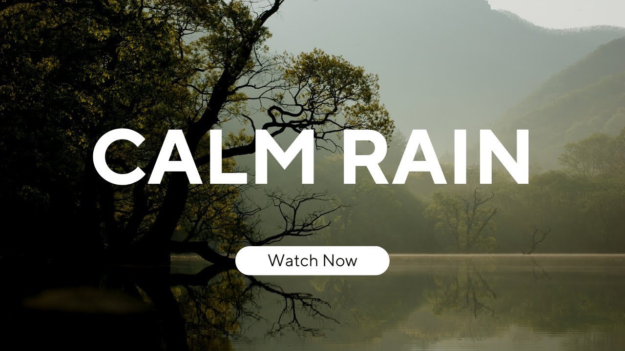 Relax calm rain, study, meditation video - YouTube