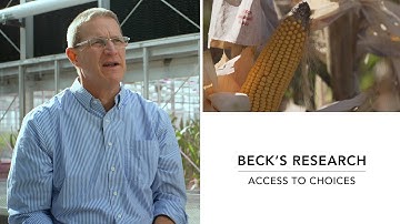 Access to Choices, Hybrid Corn Breeding | Beck