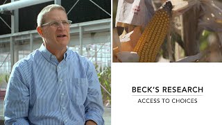 Access to Choices, Hybrid Corn Breeding | Beck's Research