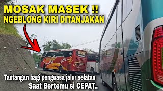 Balapan bus ! saling pepet bus sugeng rahayu vs primajasa dan bus budiman