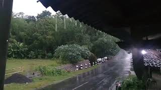 Hujan  Senandung - Hujan Di Balik Jendela