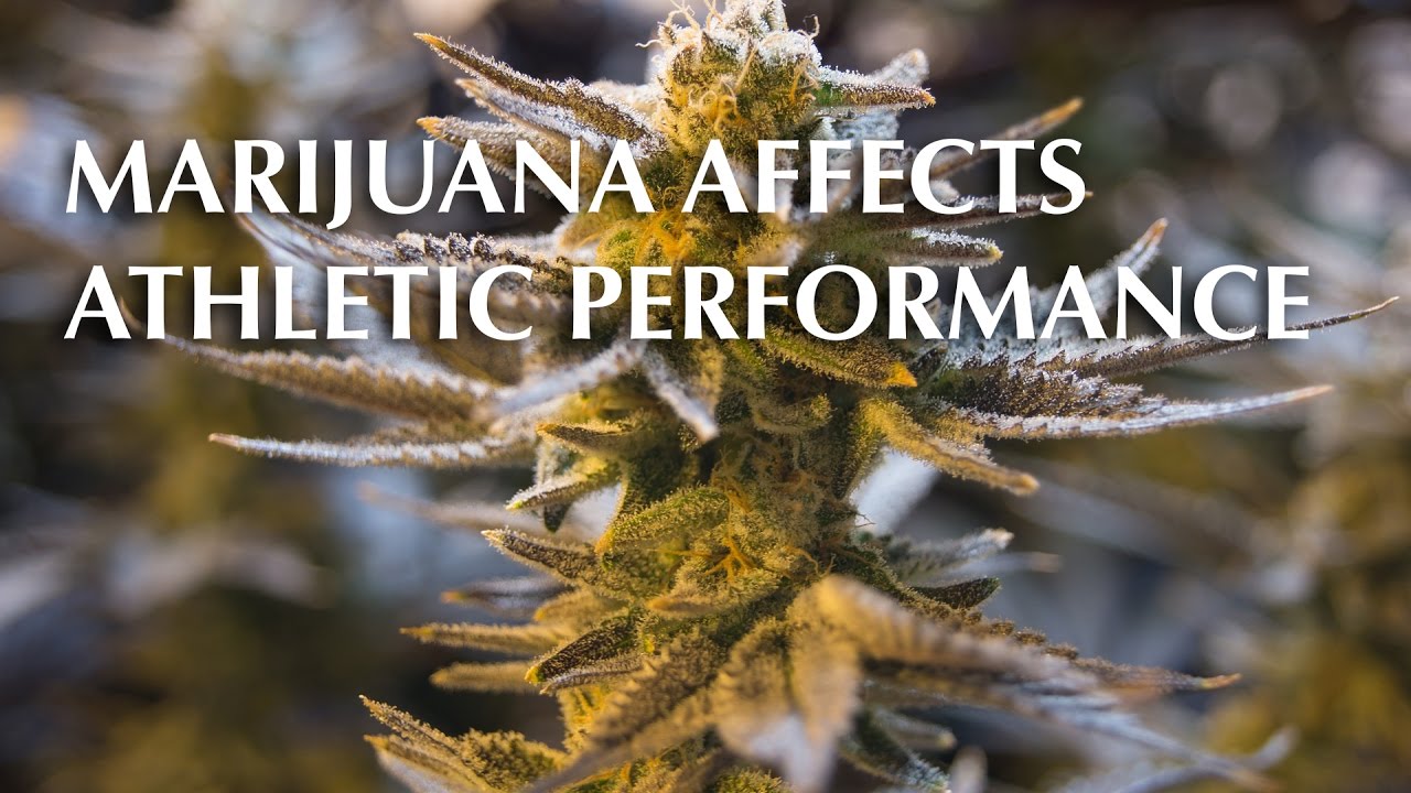 Marijuana Affects Athletic Performance YouTube