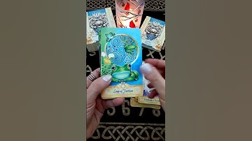 Seeker Oracle (Quick Flip Through)