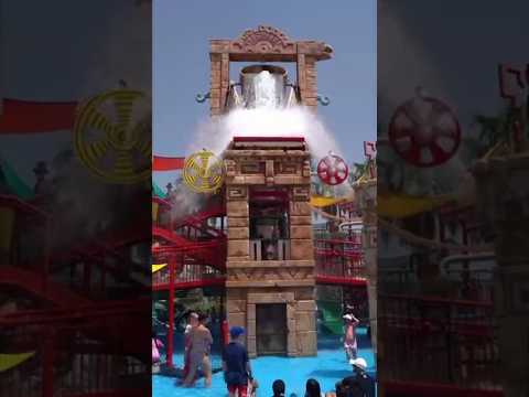 WILD WADI WATERPARK DUBAI | #Shorts