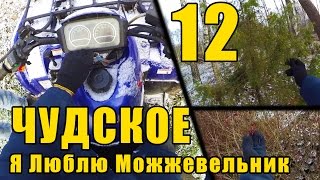 Чудское 12 - Я Люблю Можжевельник