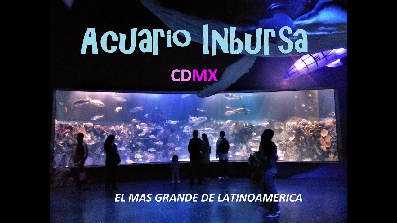 🐠🐧El acuario mas grande de Latinoamérica. - YouTube