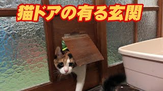 猫ドアの有る玄関！