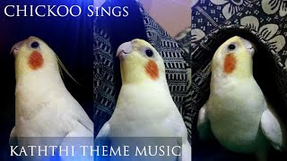 My Cocktail Bird Sings Kaththi Theme Music -Chickoo The Bird|Even My Pet Is A Die Hard Vijay Fan😍