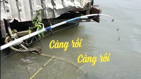 Câu Tôm Càng Xanh Cuối Mùa - khám phá làng Bè Tân Lộc tiếp -  Video 99