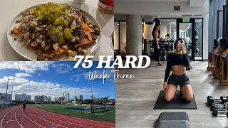 did I miss my calling in life..?!?!? (workouts and what I ate during 75 hard week 3)