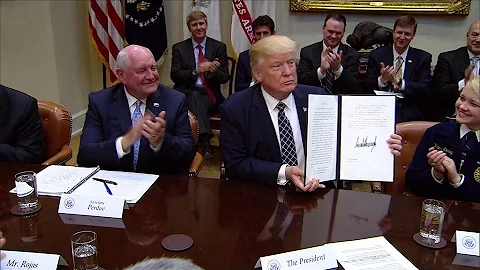 Trump vs Trudeau: Rising trade tensions between US and Canada