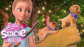 Barbie Puppy Obstacle Course!