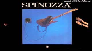 David Spinozza - Doesn't She Know By Now