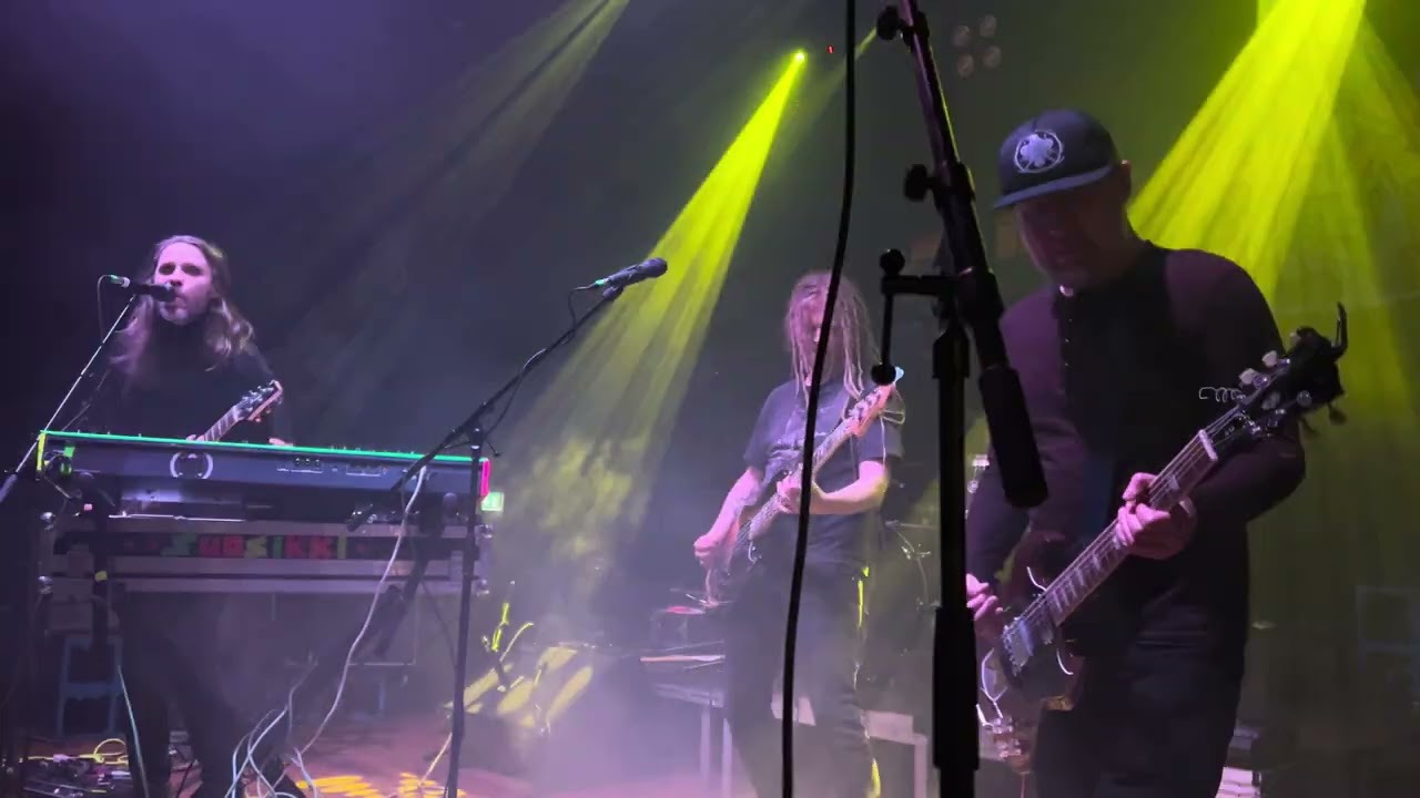 Suosikki - Kolme lintua (Indie-Iltamat Easter Edition 2024 • Utopia • Turku • 29.3.2024)