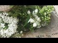 لومينال فراغ الامنيات  