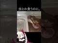 人の家族を増やしました。 #shorts 【えま★おうがすと/にじさんじ所属】