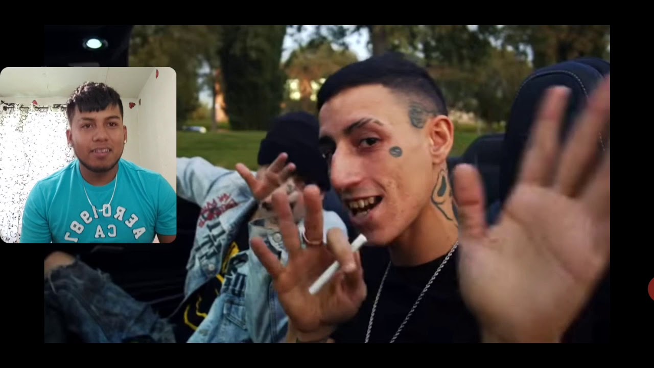 reaccion moonkey c r o we t dubai lambo argentina en la casa reaccion moonkey c r o we t dubai lambo argentina en la casa