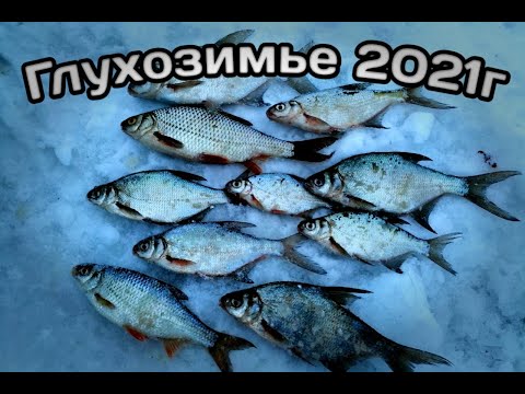 Первая рыбалка 2021г Рыбалка в ГЛУХОЗИМЬЕ Ловля Крупной ПЛОТВЫ