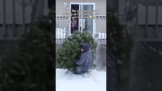 POV: My dad got injured setting up Christmas trees so i got him this 🥲🎄 #Christmas #christmastree