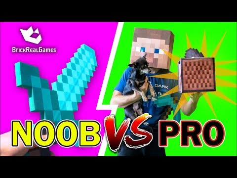 MINECRAFT NOOB VS PRO Jukebox DIAMOND Dog Real Life Minecraft IRL Animation