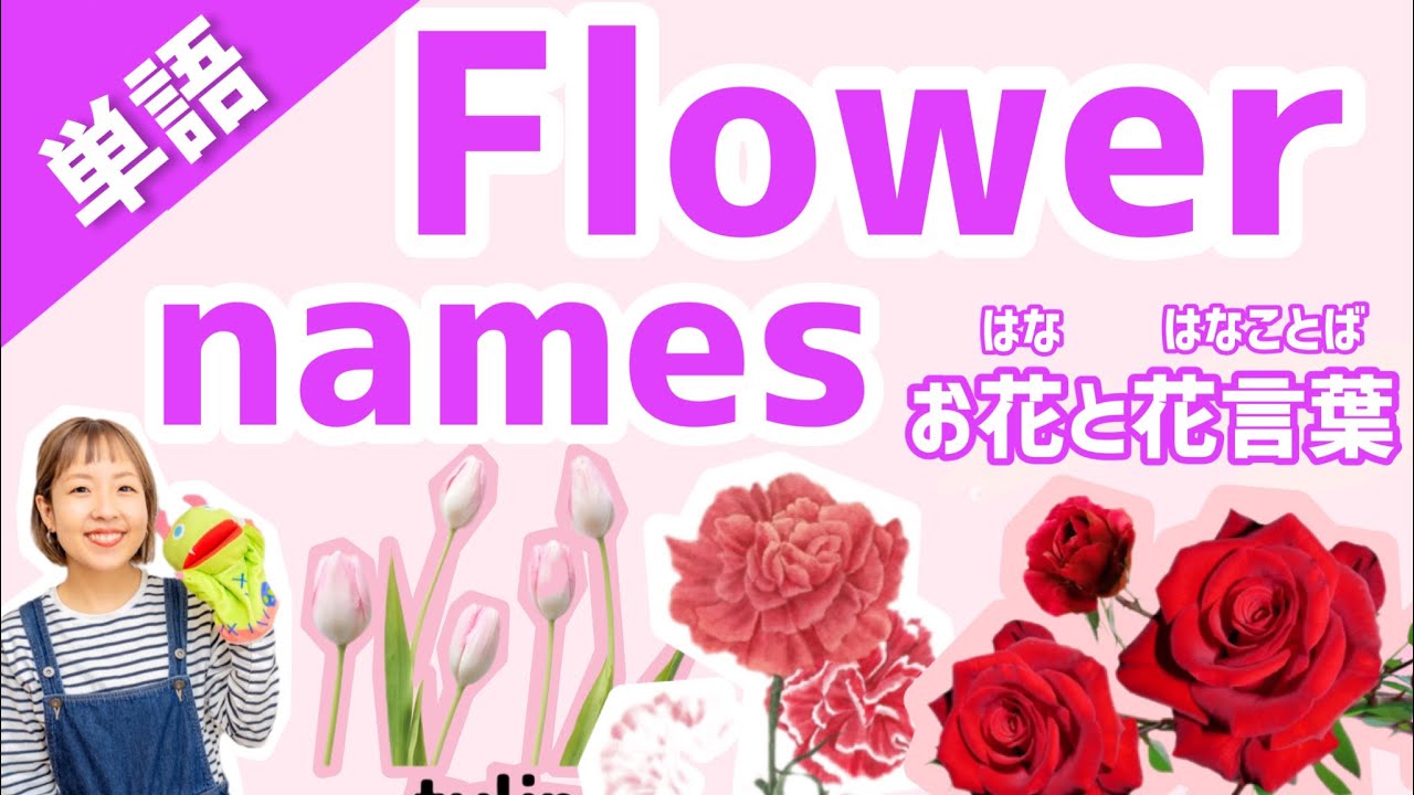 【単語】Flower names! お花の名前と花言葉を知ろう！！[#328] - YouTube