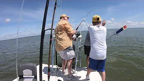 Gramps Steve Wigington catches a Big Black Tip Sha...