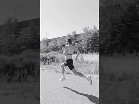 Catch me if you can!