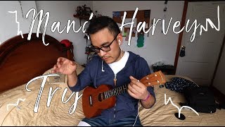 Mandy Harvey - Try (Ukulele cover)