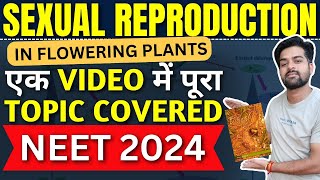 Sexual Reproduction in Flowering Plants ✅ Best Revision Video For NEET 2024 🔥#neet2024