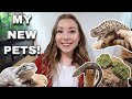 Meet ALL Of My NEW Pets!