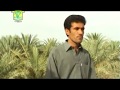 New balochi songs 2019  allah allah  adnan baloch