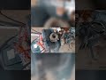 Hero Splendor Plus BS6 लो बीम जलता है हाई बीम नही जलता क्या करें