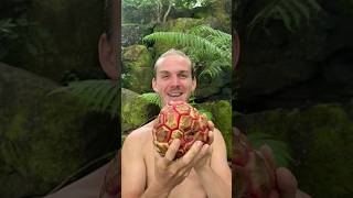 Top 5 weirdest fruits in the world