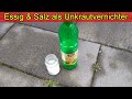 Essig &amp; Salz im Garten gegen Unkraut verboten oder erlaubt? Vorteile &amp; Nachteile von Essig &amp; Salz