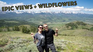 Best hike to View Wildflowers in Colorado by Anna D and Adam 229 views 8 months ago 5 minutes, 57 seconds