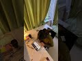 كلما شعرت بل احباط تحفيز دراسي سادسيون