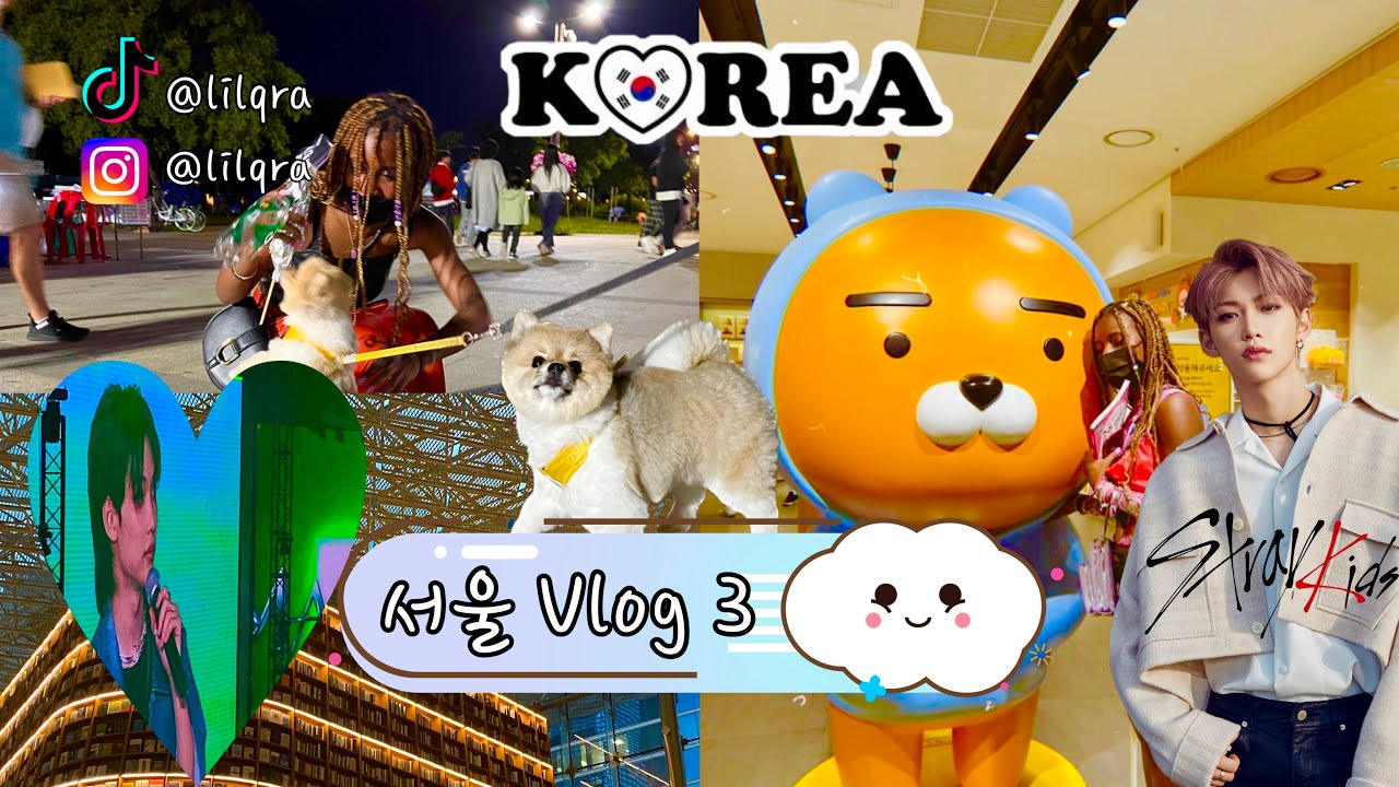 STRAY KIDS CONCERT EN FLUFFY HONDJES IN ZUID KOREA🇰🇷???!||#ZKWEEK3