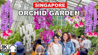 🇸🇬8K - National Orchid Garden Singapore | Most Beautiful Garden of Singapore 🌸🌷
