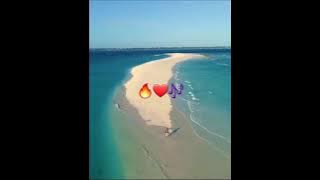 Team Distant ft La Timmy