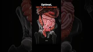Optimal Care For Your Every Organ 💀🤯 #Shorts #Science #Biology #HumanBody #Organs