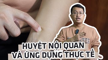 Huyệt Nội quan tìm hiểu vị trí, cách day bấm và một số ứng dụng trong cuộc sống hàng ngày