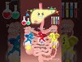animation of digestion in human beings