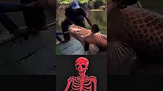 #aestheic